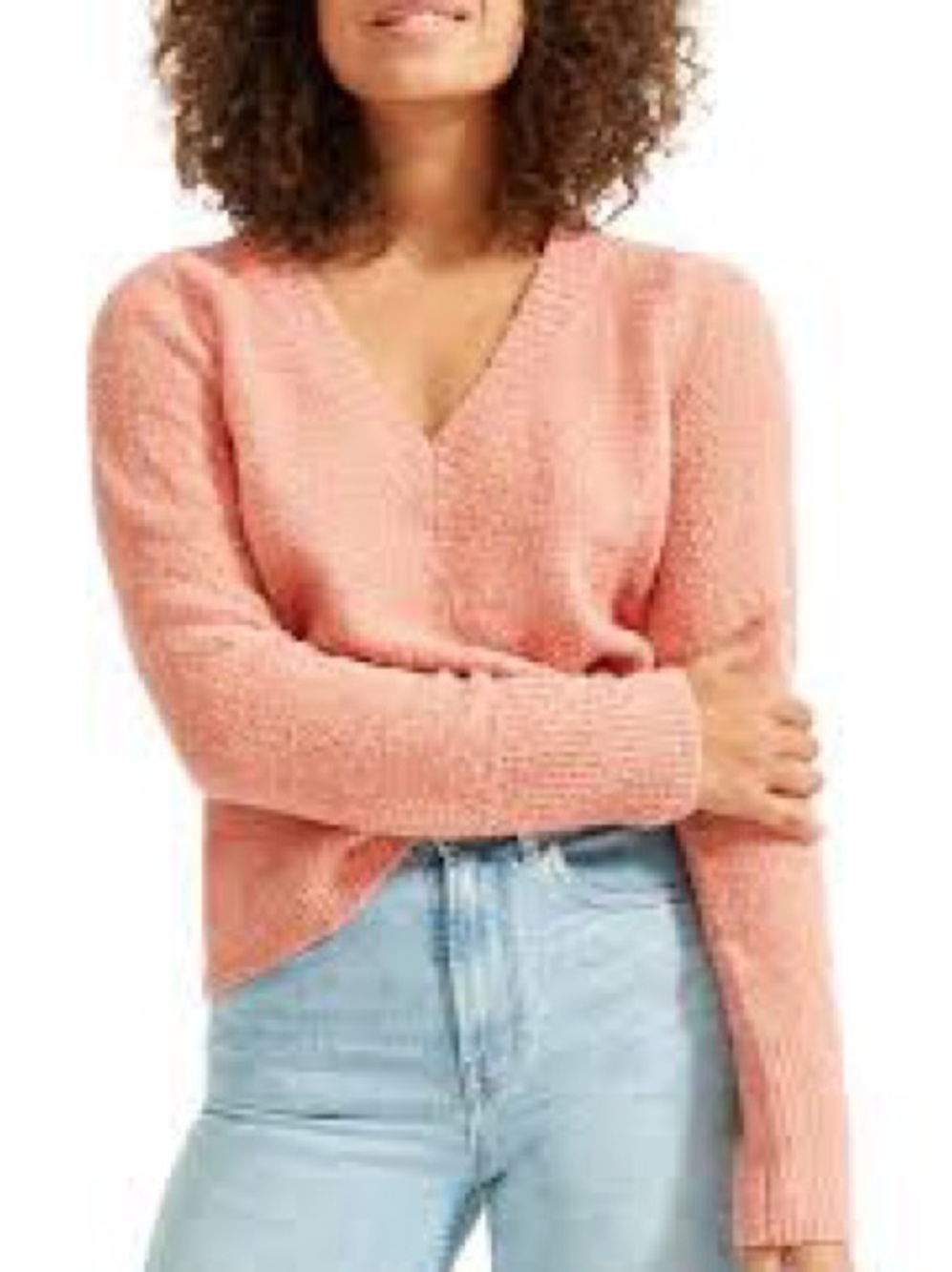 Everlane The Teddy Wool Blend V-Neck Sweater